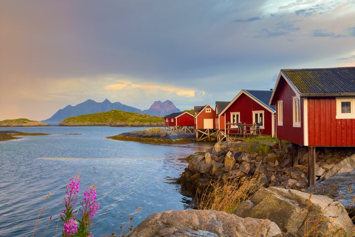 History and Photo Tour Henningsvær and Svinøya