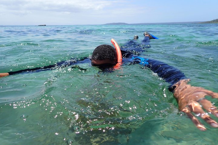 Guided Snorkelling Tour in Jervis Bay