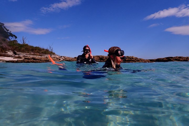 Guided Snorkelling Tour in Jervis Bay
