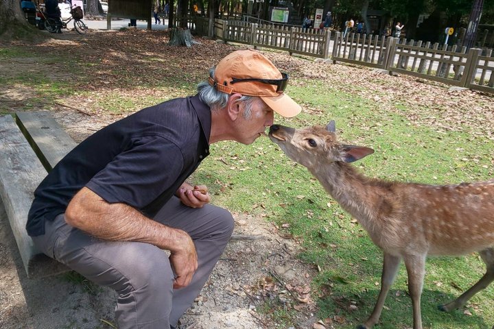 Nara Customized Private Tour in 1 Day with Licensed Guide