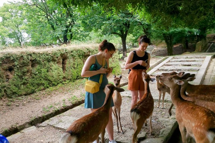 Nara Customized Private Tour in 1 Day with Licensed Guide