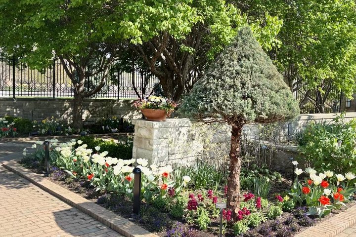 Kansas City Segway Tour: Art and Glide