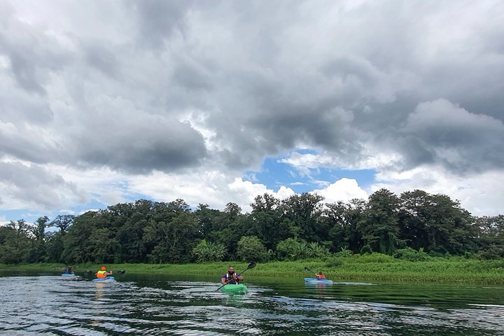 Yojoa Lake Area Day Trip From San Pedro Sula