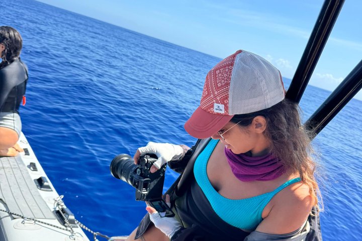 Guided Small Group Whale Watching and Swim Tour Tahiti