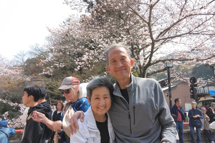Hiroshima Cruise Pickup : Miyajima & Peace Park Tour with car
