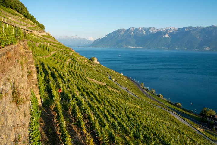 Lavaux UNESCO Vineyards and Tasting Private van from Montreux