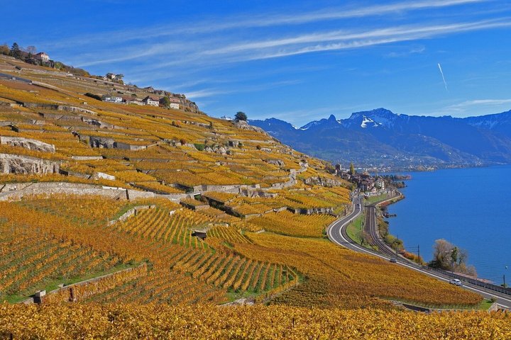 Lavaux UNESCO Vineyards and Tasting Private van from Montreux