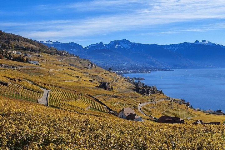 Lavaux UNESCO Vineyards and Tasting Private van from Montreux