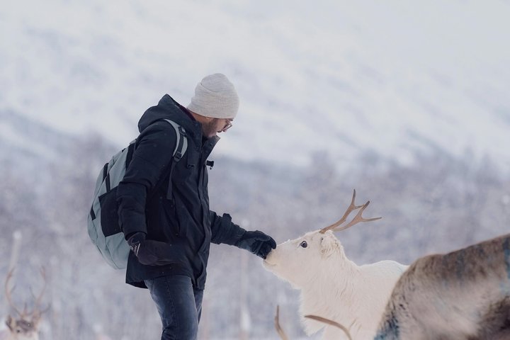 Tromso Excursion Artica Fjords and Sommaroy Islands with lunch