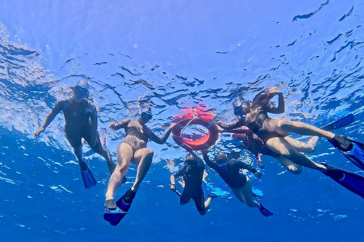 Guided Small Group Whale Watching and Swim Tour Tahiti