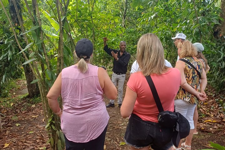 Vanilla Circuit, meeting our local producers