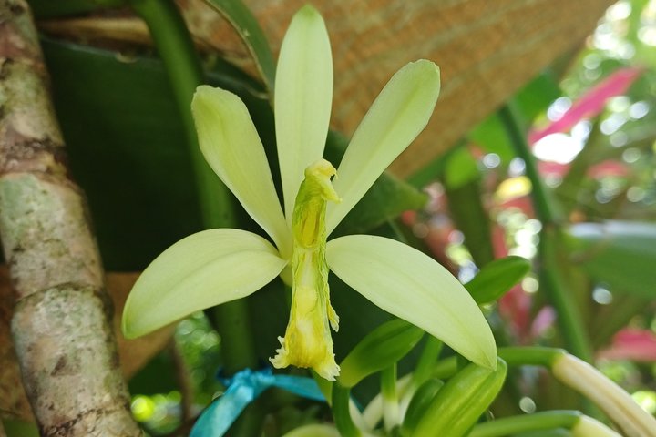Vanilla Circuit, meeting our local producers