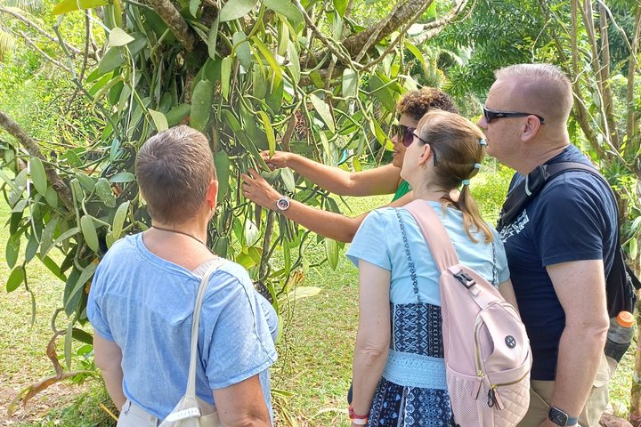 Vanilla Circuit, meeting our local producers