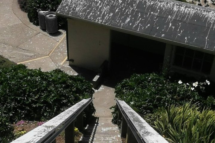 Alcatraz Inside Prison Tour with Free App Audio Packages