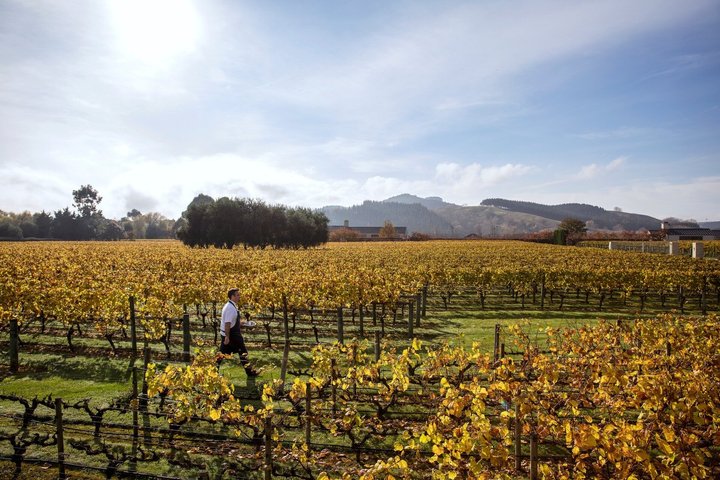 Craggy Range Deluxe Wine Tour - Private Option