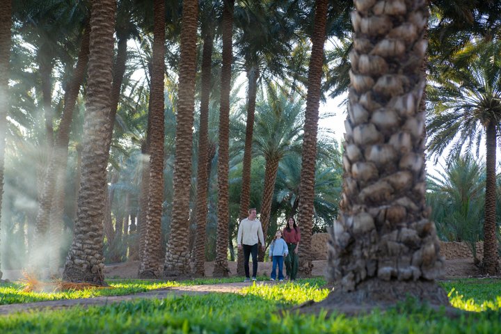 AlUla Half Day Tour Hegra Old Town Maraya and Saudi Meal