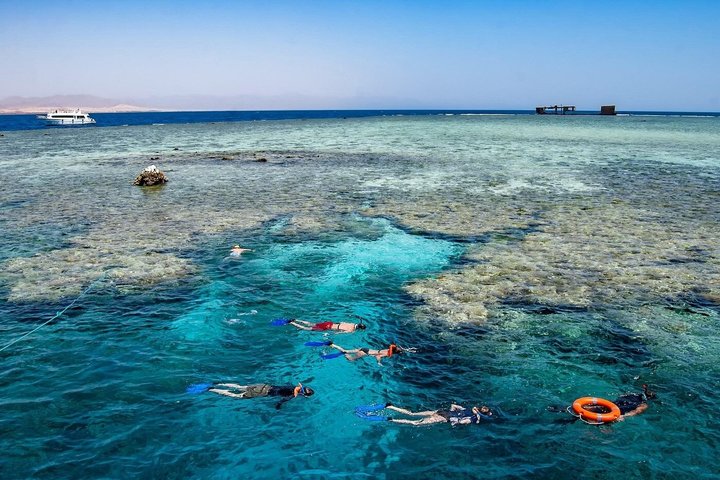 Tiran Island Snorkeling , Diving Cruise & Lunch - Sharm El Sheikh