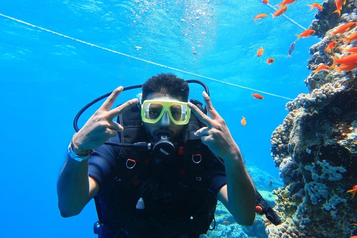 Tiran Island Snorkeling , Diving Cruise & Lunch - Sharm El Sheikh