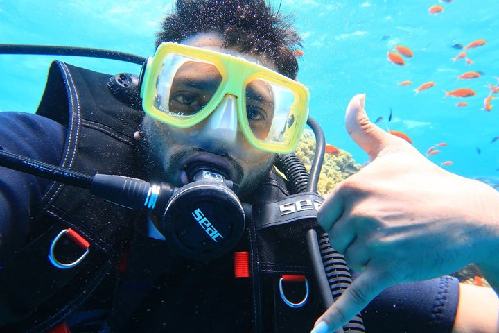 Tiran Island Snorkeling , Diving Cruise & Lunch - Sharm El Sheikh