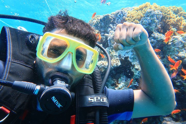 Tiran Island Snorkeling , Diving Cruise & Lunch - Sharm El Sheikh