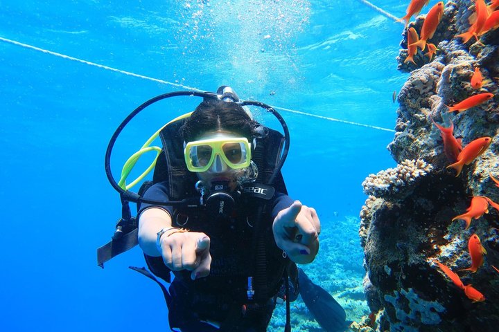 Tiran Island Snorkeling , Diving Cruise & Lunch - Sharm El Sheikh