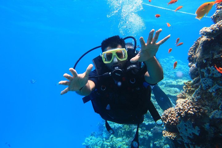 Tiran Island Snorkeling , Diving Cruise & Lunch - Sharm El Sheikh