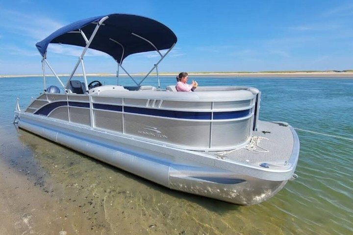 Wellfleet Harbor Seal Cruise Small Group Boat Tour on Cape Cod