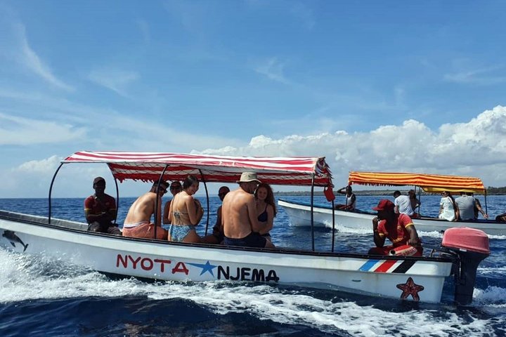 Swim with Dolphin and Snorkeling Adventure at Mnemba Island