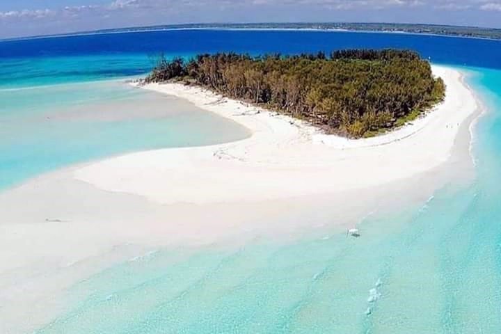 Swim with Dolphin and Snorkeling Adventure at Mnemba Island