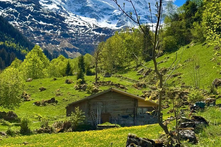 Lauterbrunnen E-Bike Tour - Trümmelbach Falls & Hidden Valleys