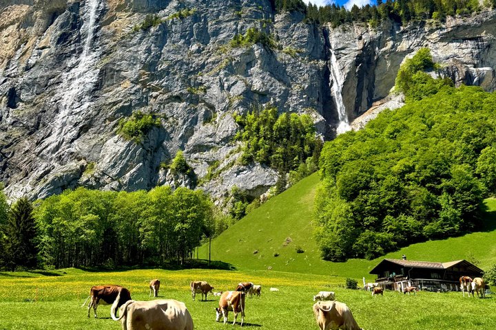 Lauterbrunnen E-Bike Tour - Trümmelbach Falls & Hidden Valleys