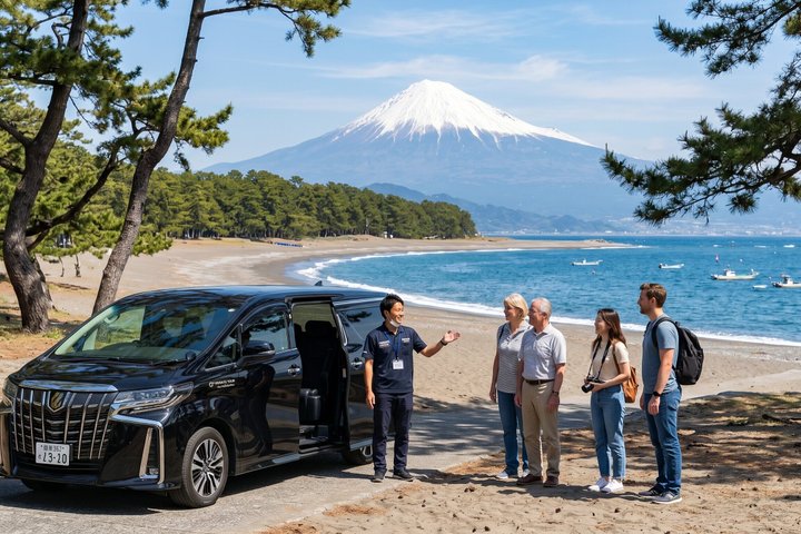 Shimizu Shore Excursion: Mt. Fuji View Tour, Licensed Guide
