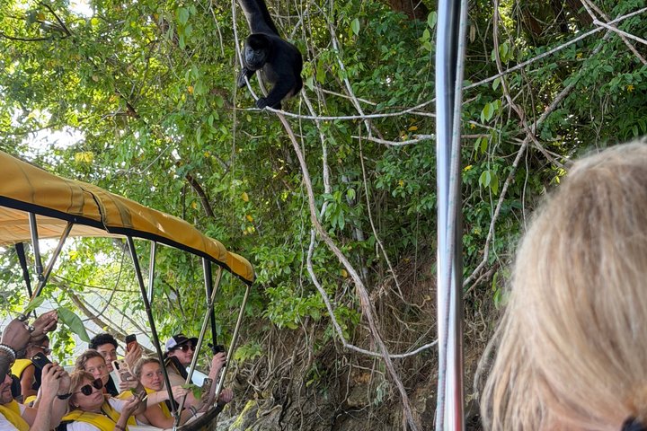 Explore Panama Canal and Gatun Lake with Rainforest Jungle Walk
