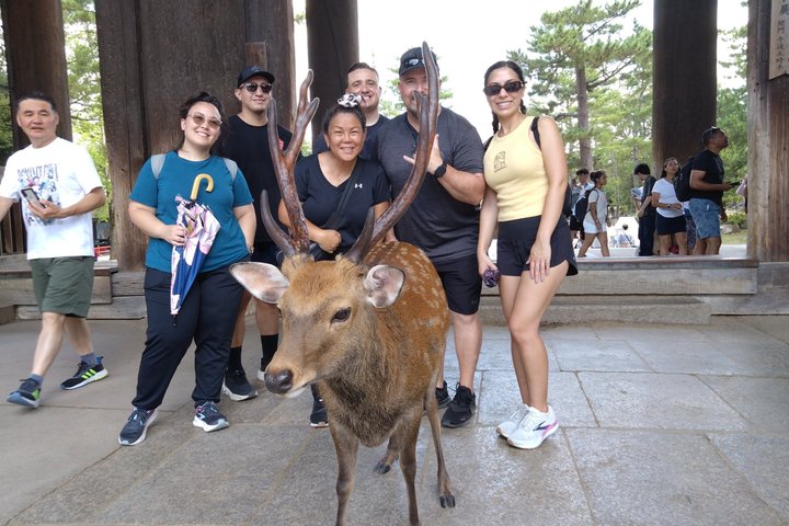 Nara Customized Private Tour in 1 Day with Licensed Guide