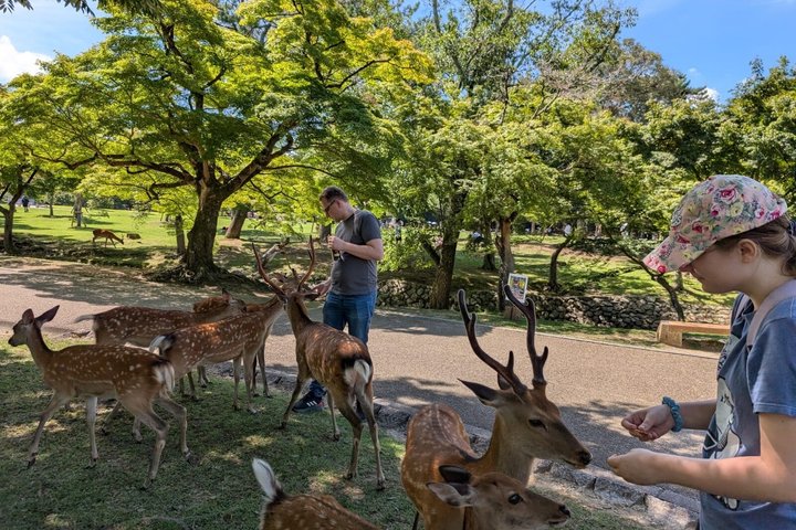 Nara Customized Private Tour in 1 Day with Licensed Guide