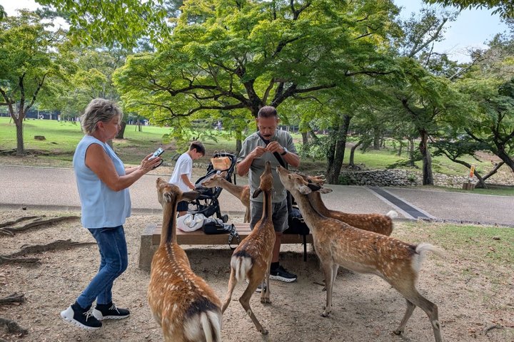 Nara Customized Private Tour in 1 Day with Licensed Guide