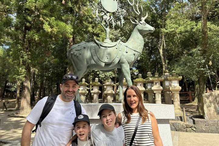 Nara Customized Private Tour in 1 Day with Licensed Guide