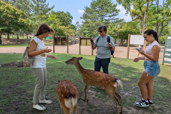 Nara Customized Private Tour in 1 Day with Licensed Guide