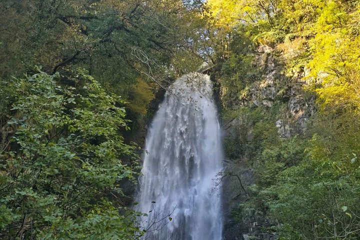 Private Full Day Tour from Batumi to Waterfalls