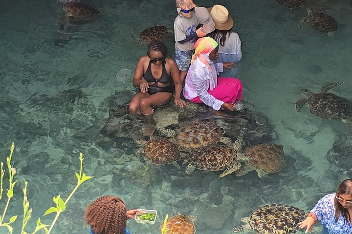 Zanzibar Salaam Cave Tour with Turtle Swimming Experience