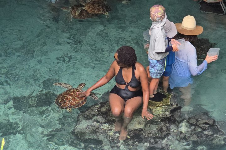 Zanzibar Salaam Cave Tour with Turtle Swimming Experience
