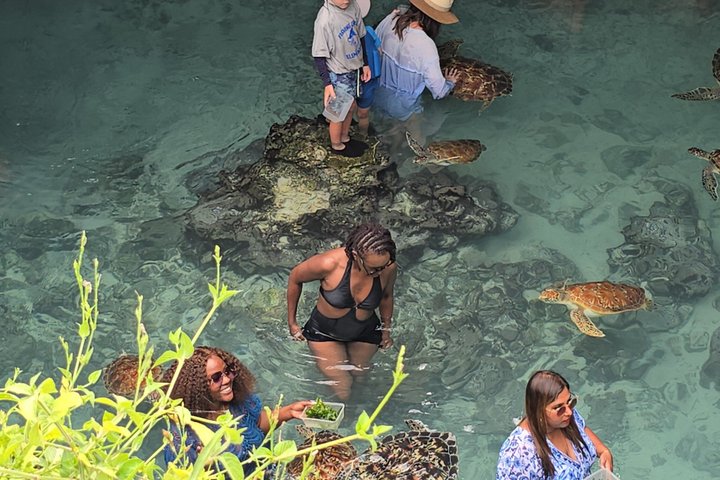 Zanzibar Salaam Cave Tour with Turtle Swimming Experience