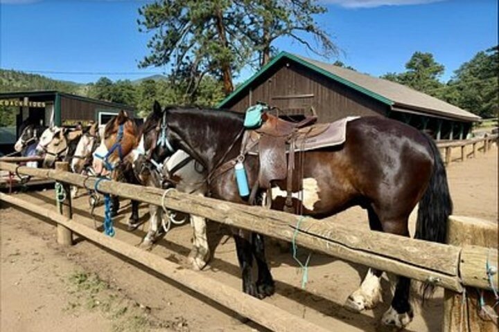 Scenic 2 Hour Horseback Ride in Rocky Mountain National Park