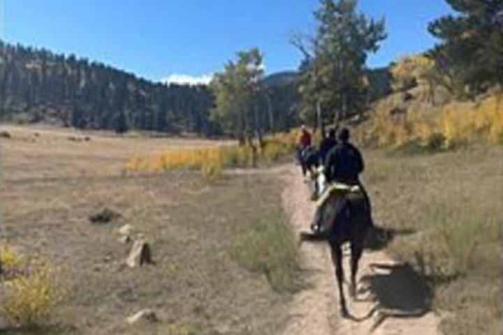 Scenic 2 Hour Horseback Ride in Rocky Mountain National Park