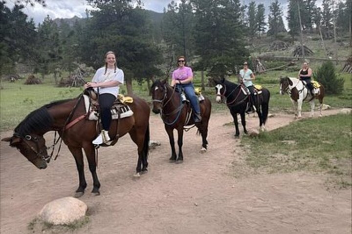 Scenic 2 Hour Horseback Ride in Rocky Mountain National Park