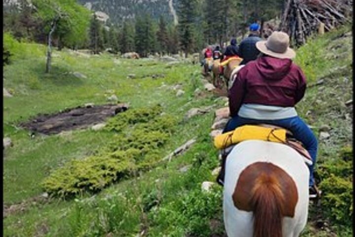 Scenic 2 Hour Horseback Ride in Rocky Mountain National Park