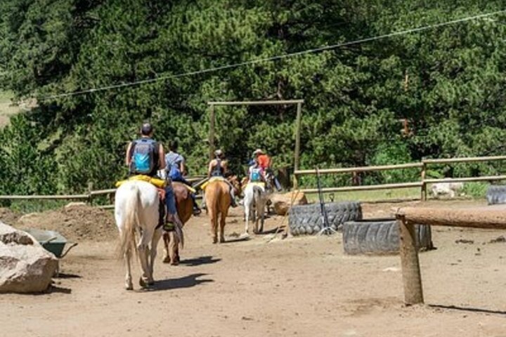 Scenic 2 Hour Horseback Ride in Rocky Mountain National Park