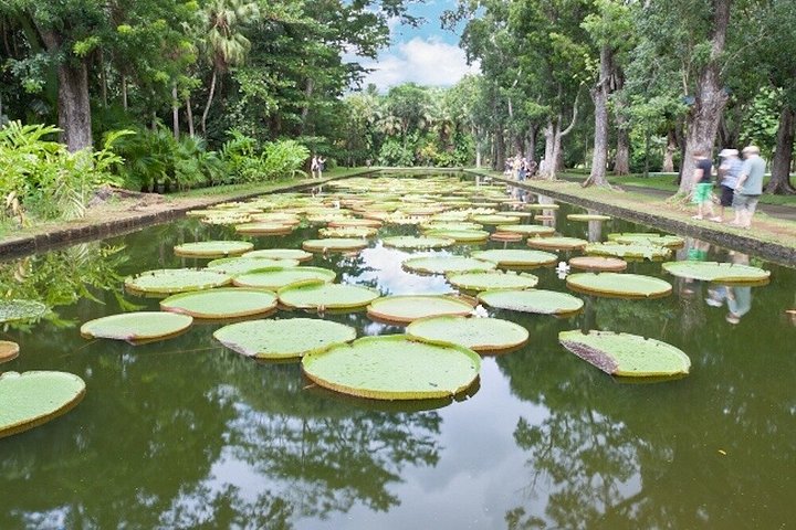 3-Day Private Mauritius Discovery with Optional Wild Dolphin Swim
