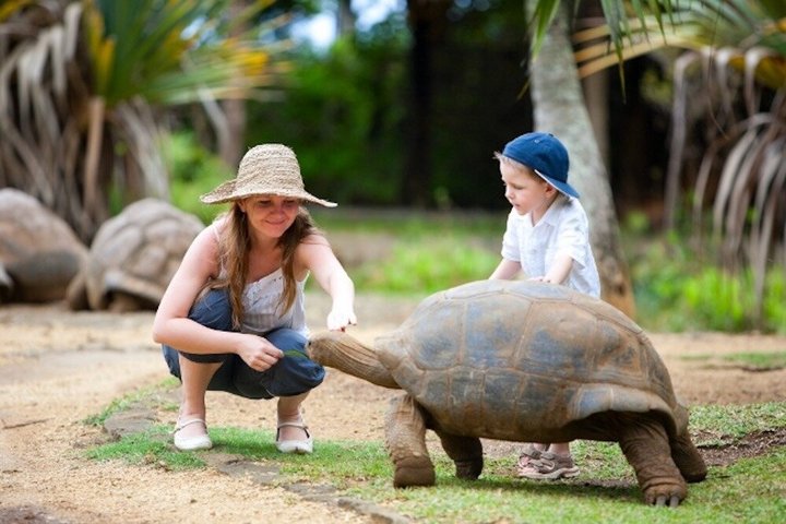 3-Day Private Mauritius Discovery with Optional Wild Dolphin Swim