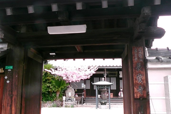 Spiritual Power Spot temples and a Time Travel shrine in Osaka
